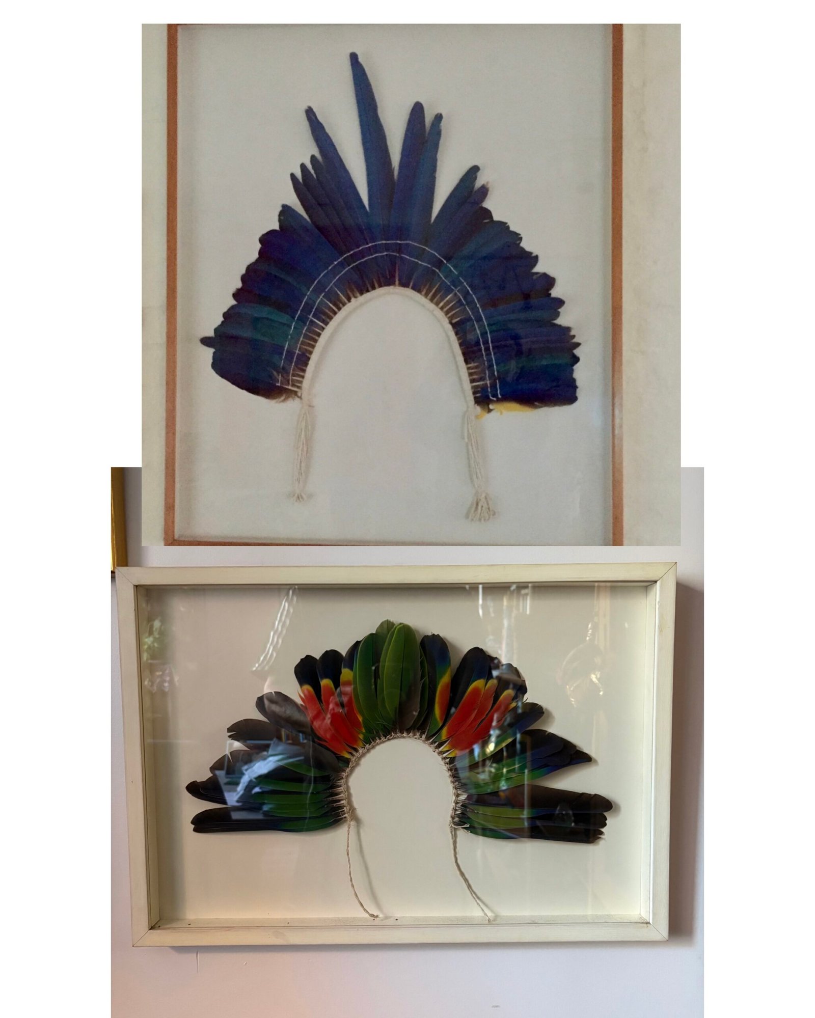 Penachos en plumería