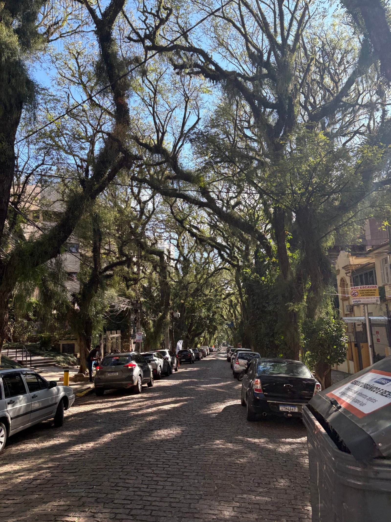 La calle más bonita del mundo